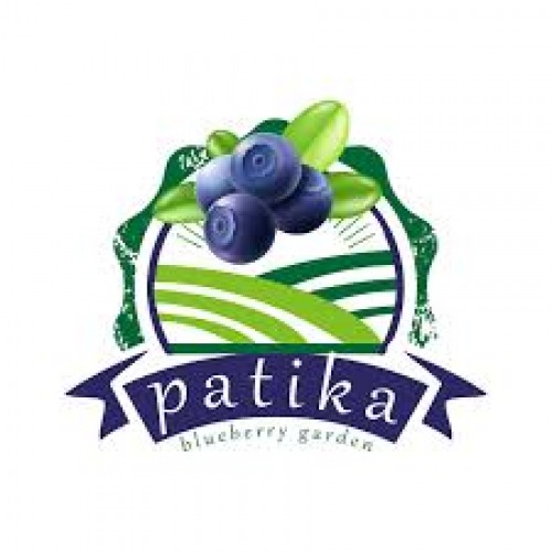Patika Blueberry Garden